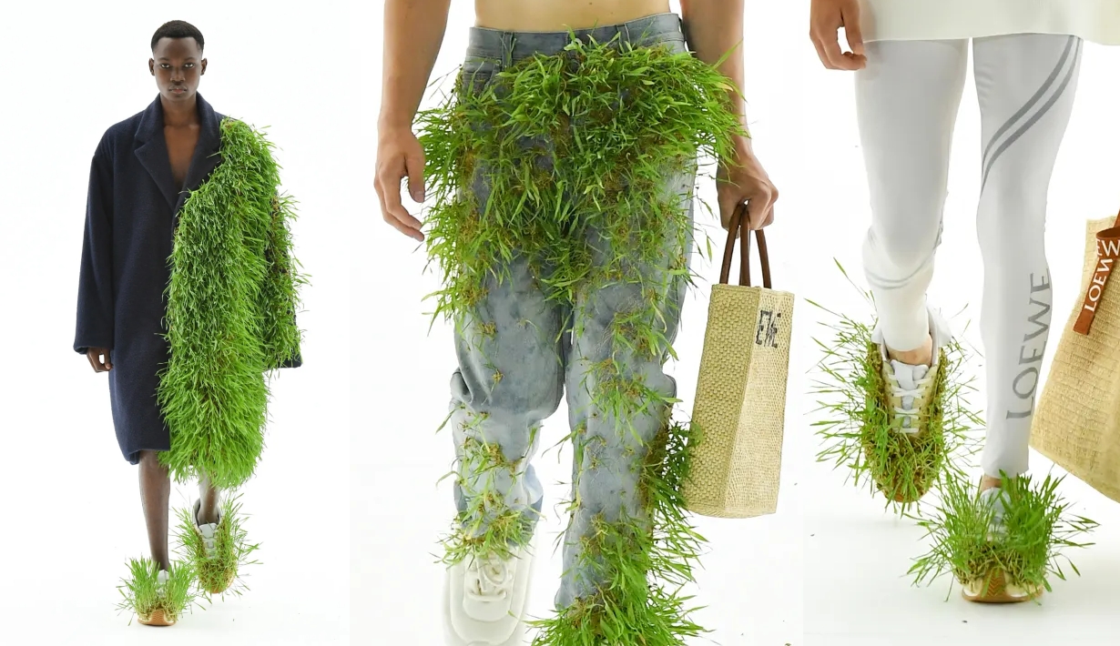 Loewe Grass Collection